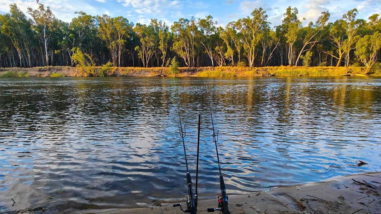 Murray River Fishing: EPIC Silver Perch Bite Window After The Storm