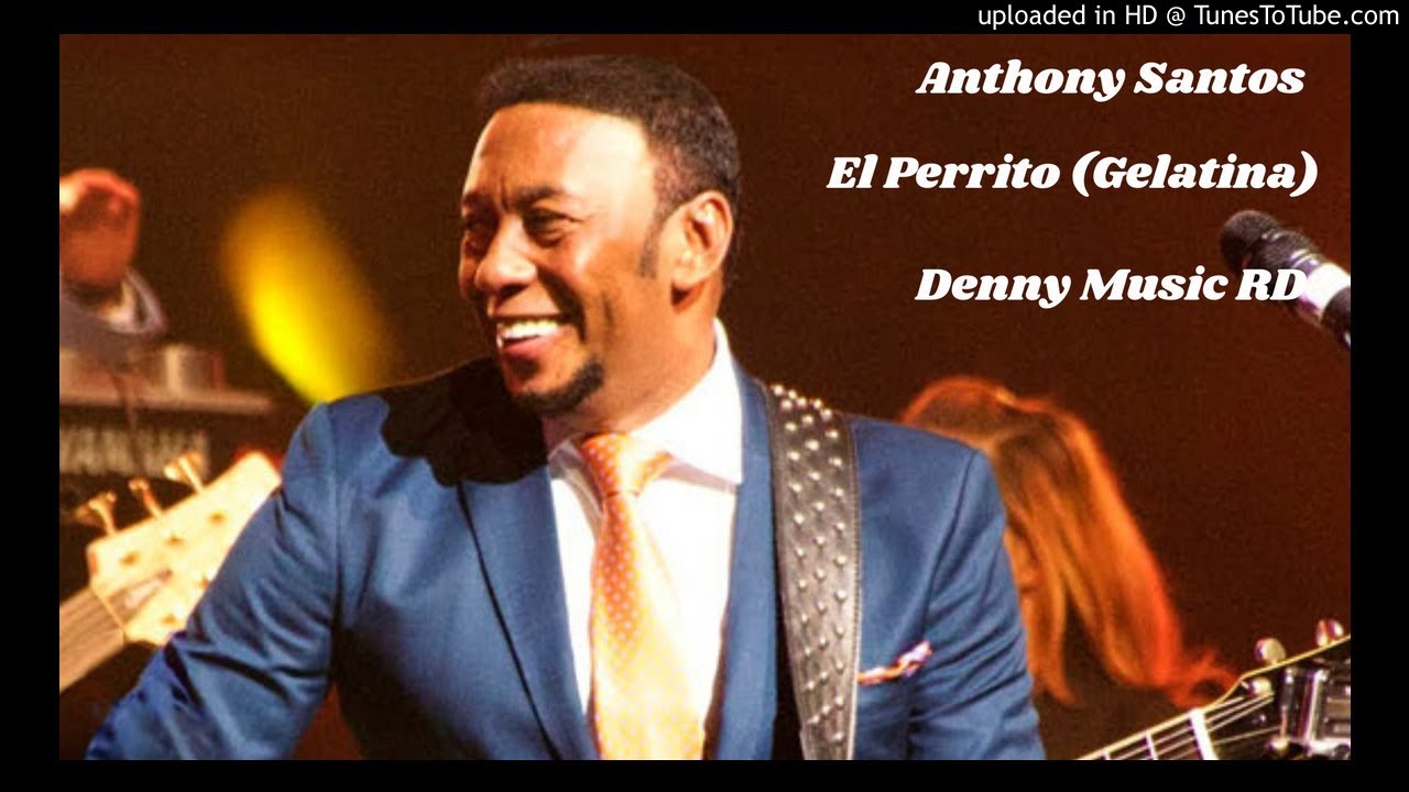 Anthony Santos - El Perrito (Gelatina) (Live Calidad Audio Full)
