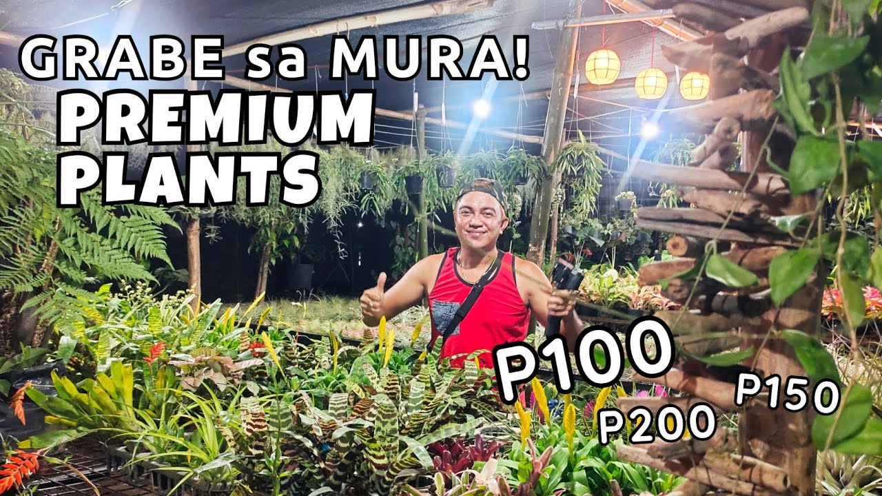 CHEAPEST PREMIUM & RARE PLANTS IN THIS GARDEN SHOP | ANG MURA NA NG HALAMAN NOW!