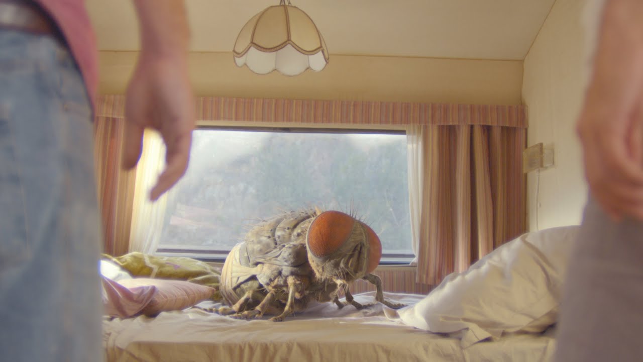 &lsquo;Mandibles': First trailer for Quentin Dupieux&rsquo;s giant fly comedy (exclusive)