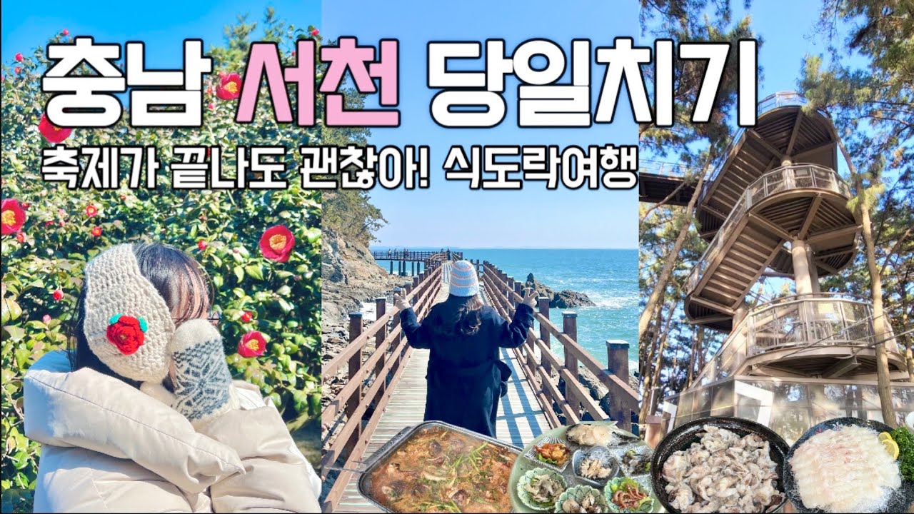충남 서천 당일치기 여행코스! 축제 없이 즐기는 식도락 서천여행 (쭈꾸미/새조개/해안산책로/스카이워크 등)