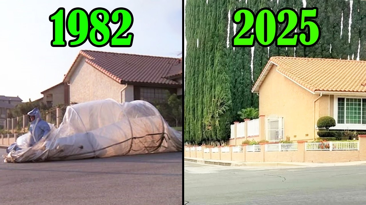 📸1 HOUR of THEN and NOW Photos of MOVIE LOCATIONS That’ll Bring Back Movie Magic 🎬