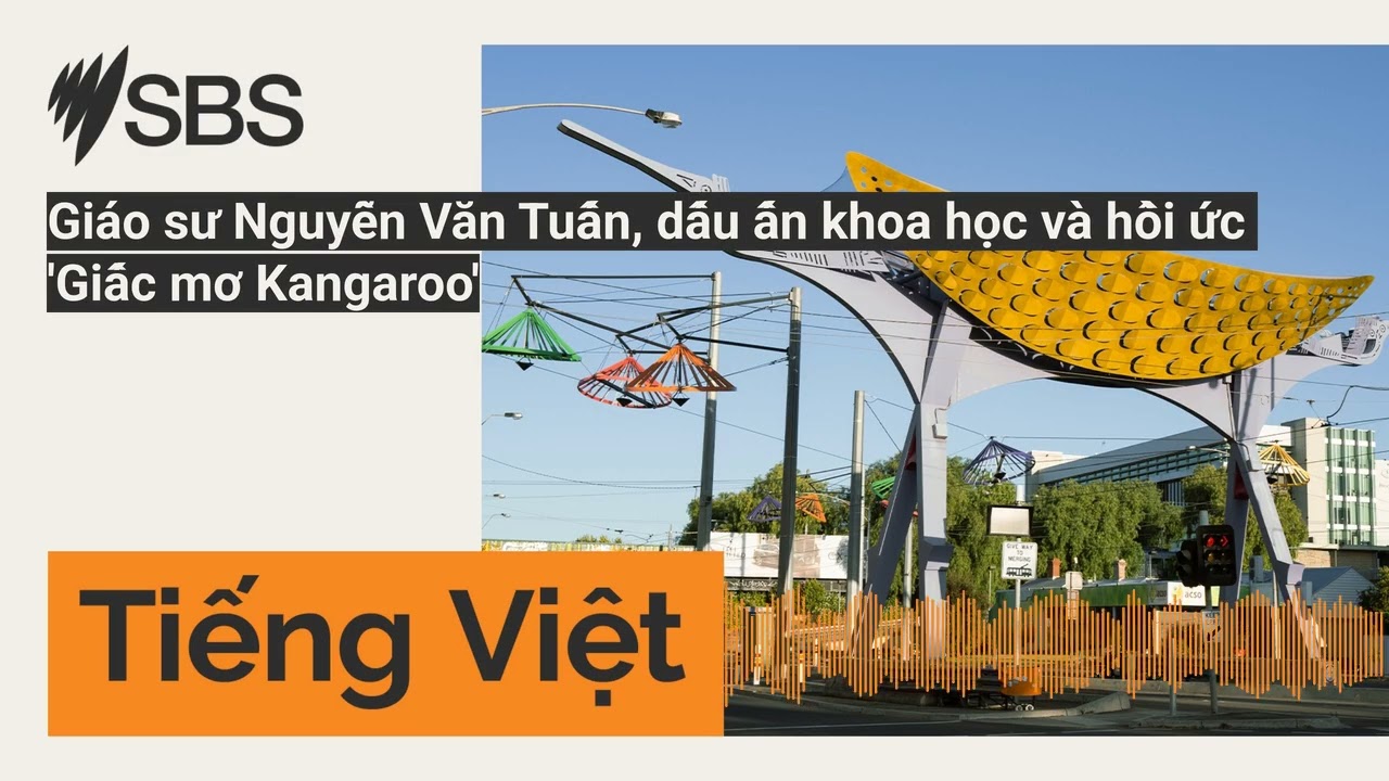Giáo sư Nguyễn Văn Tuấn, dấu ấn khoa học và hồi ức 'Giấc mơ Kangaroo' | SBS Vietnamese - SBS...
