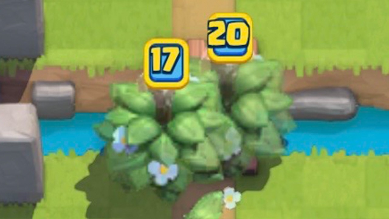 new bush