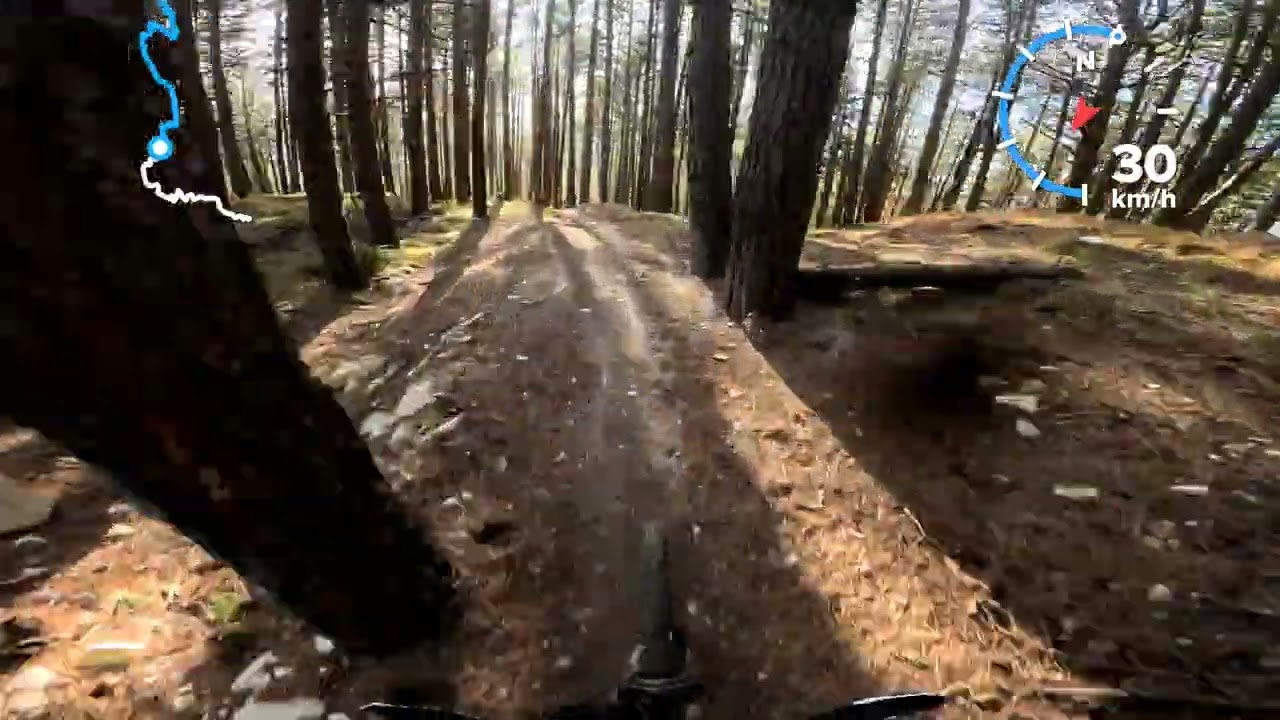 Carpegna bike park Montefeltro con Max, rossa, n3 secret, solito passo uniti e compatti 😄