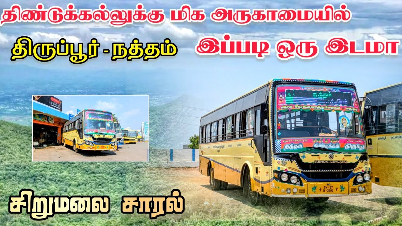 TNSTC🚌 SIRUMALAI SARAL TRAVEL VLOG 🤩 TIRUPPUR TO NATHAM BUS |திருப்பூர் கோயில் வழி பேருந்து நிலையம்