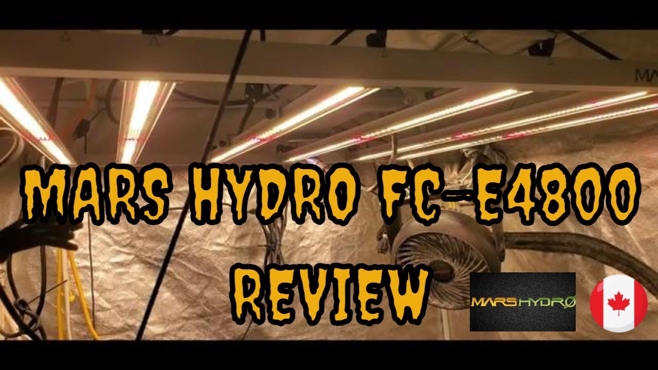 Mars Hydro FC-E4800 IS A FRIENDLY GIANT IN LED GROW LIGHTS. #marshydroreview