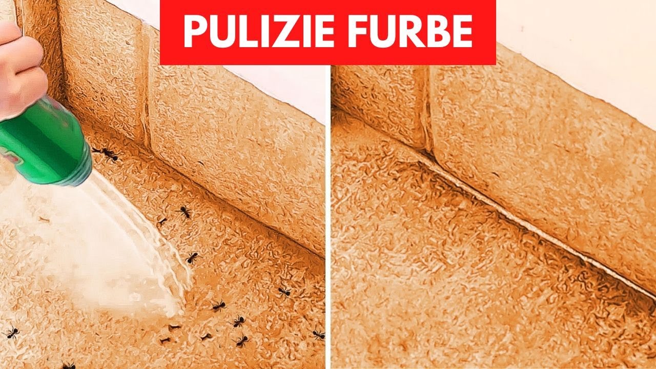 33 maestrie per imparare a pulire più facilmente dentro e fuori casa 💪🏻