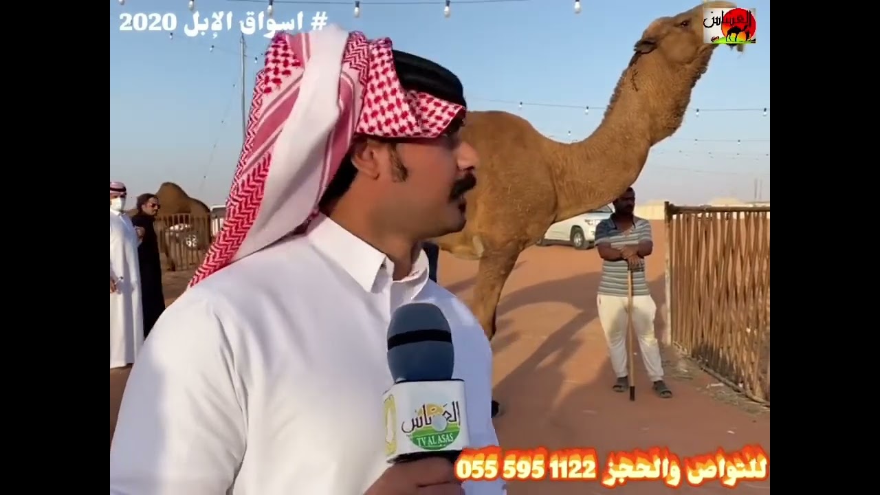 الزمول الباكستانيه