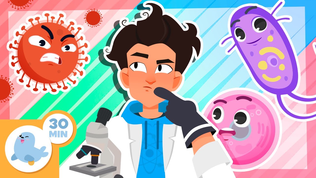 🔬🦠 SERES MICROSCÓPICOS para niños 🧬 Recopilación