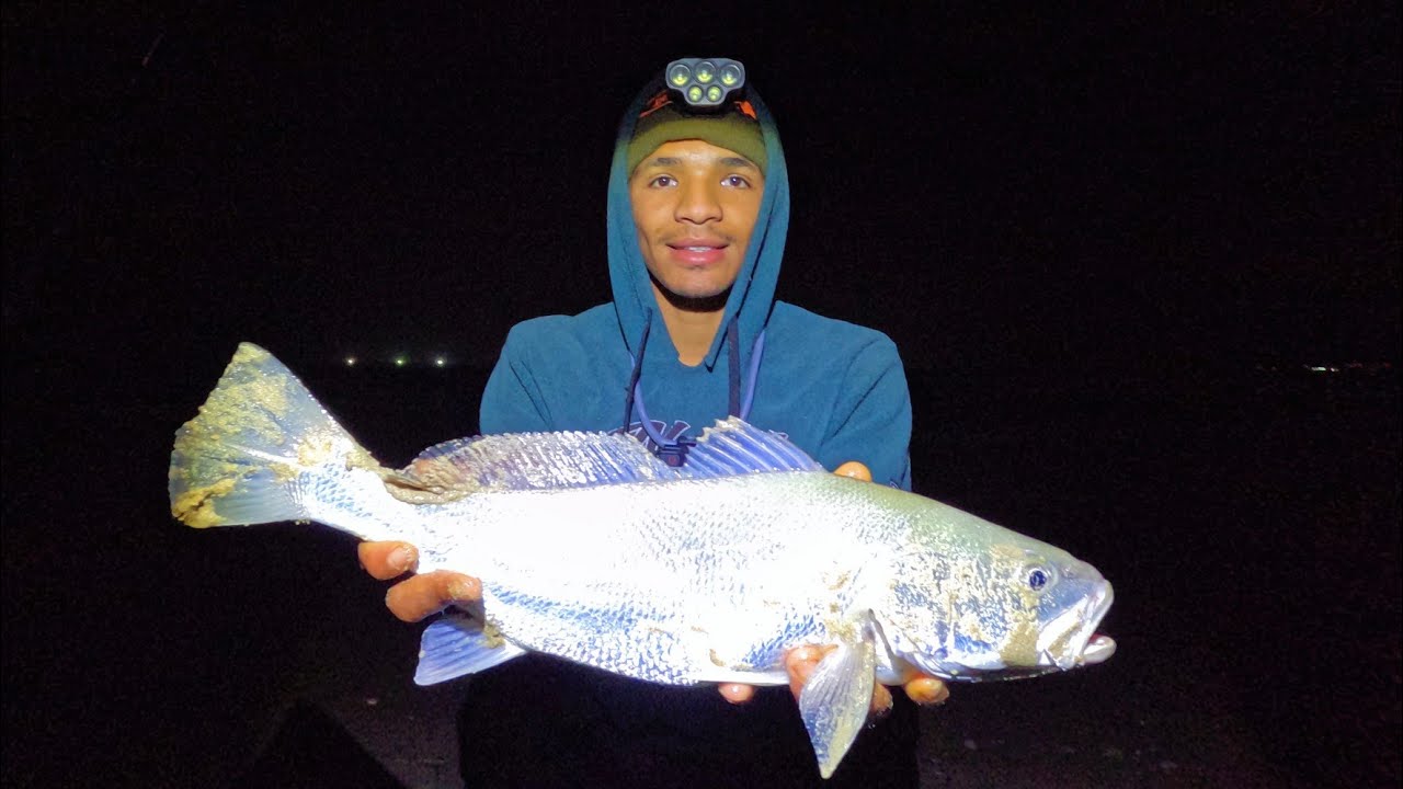 KOB SURF SESSION 