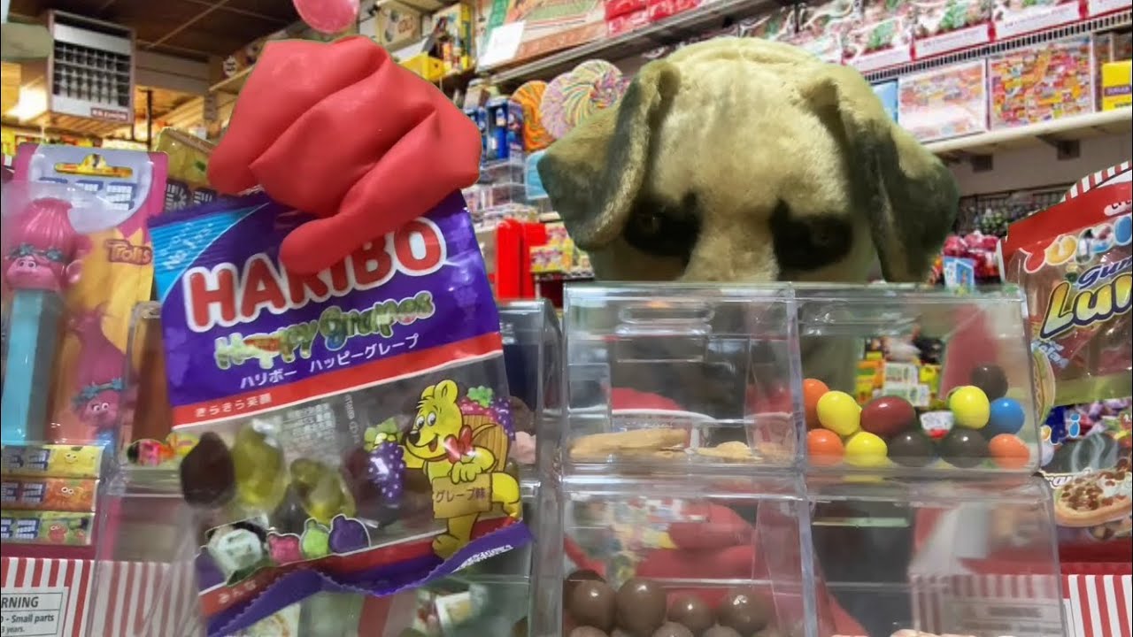 [ASMR]Candy store Role Play (no talking)
