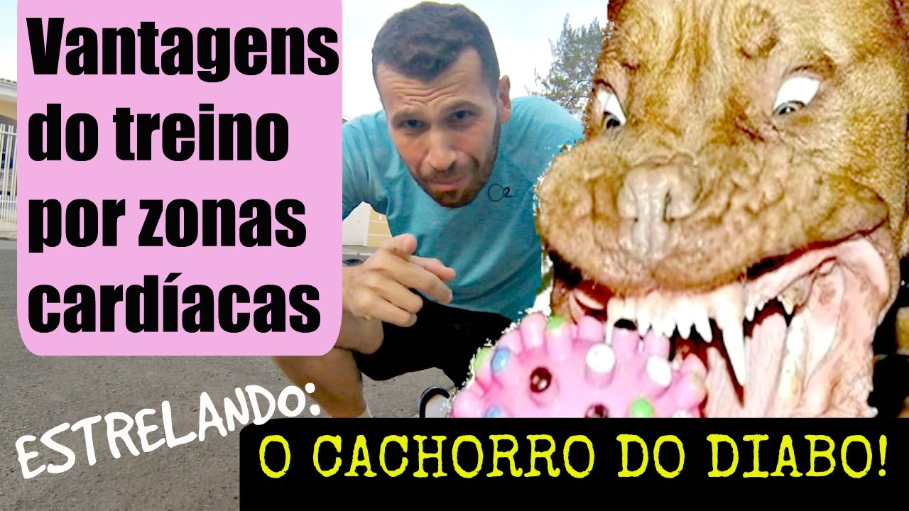 De emagrecimento a resistência: tudo que o treino por zonas cardíacas oferece!