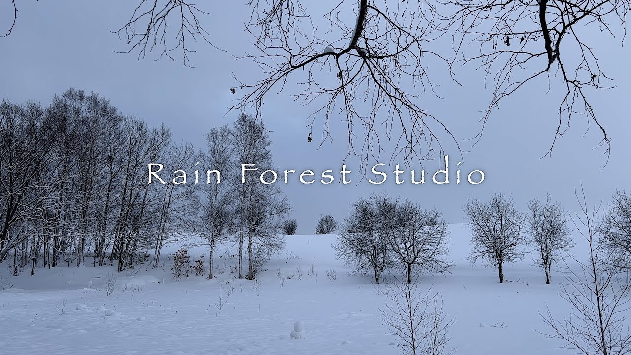 Winter in Hokkaido: Biei 5 [4K]