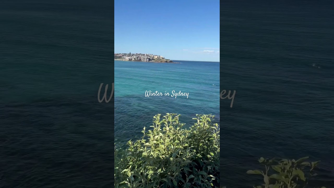 WINTER IN SYDNEY HITS DIFFERENT☀️✨ #sydney #bondibeach #travel #travelvlog #australia
