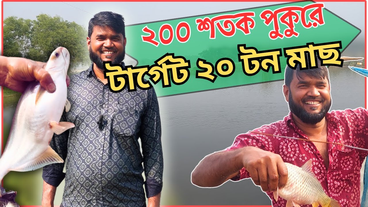 ২০০ শতাংশের ১ টি পুকুর থেকেই ২০ টন মাছ উৎপাদনের টার্গেট! খামারীর পুকুর ১০ টি। কোন কৌশলে আগাচ্ছেন?