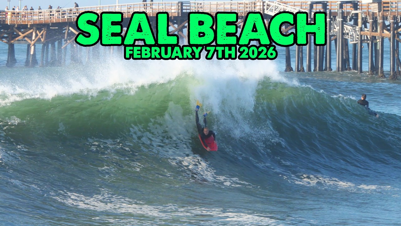 Seal Beach GOING OFF! (February 7th 2026)