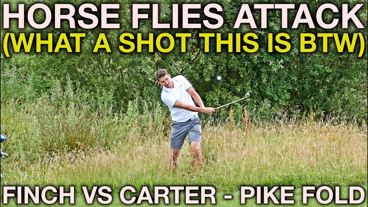 THE HORSE FLIES ATTACK! Finch vs Carter - Pike Fold Part 3