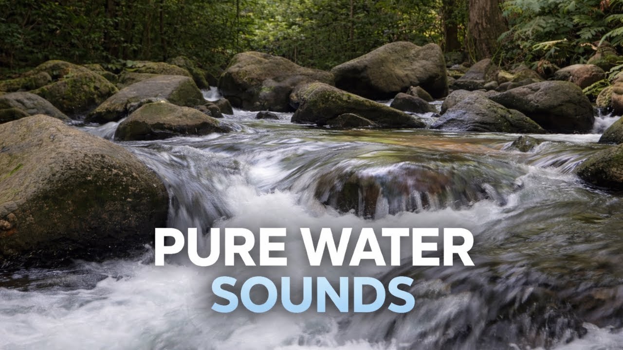 Relaxing Forest Stream | Water Sounds for Sleep, Study & Stress Relief