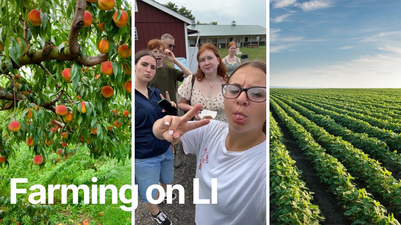 Farming on Long Island