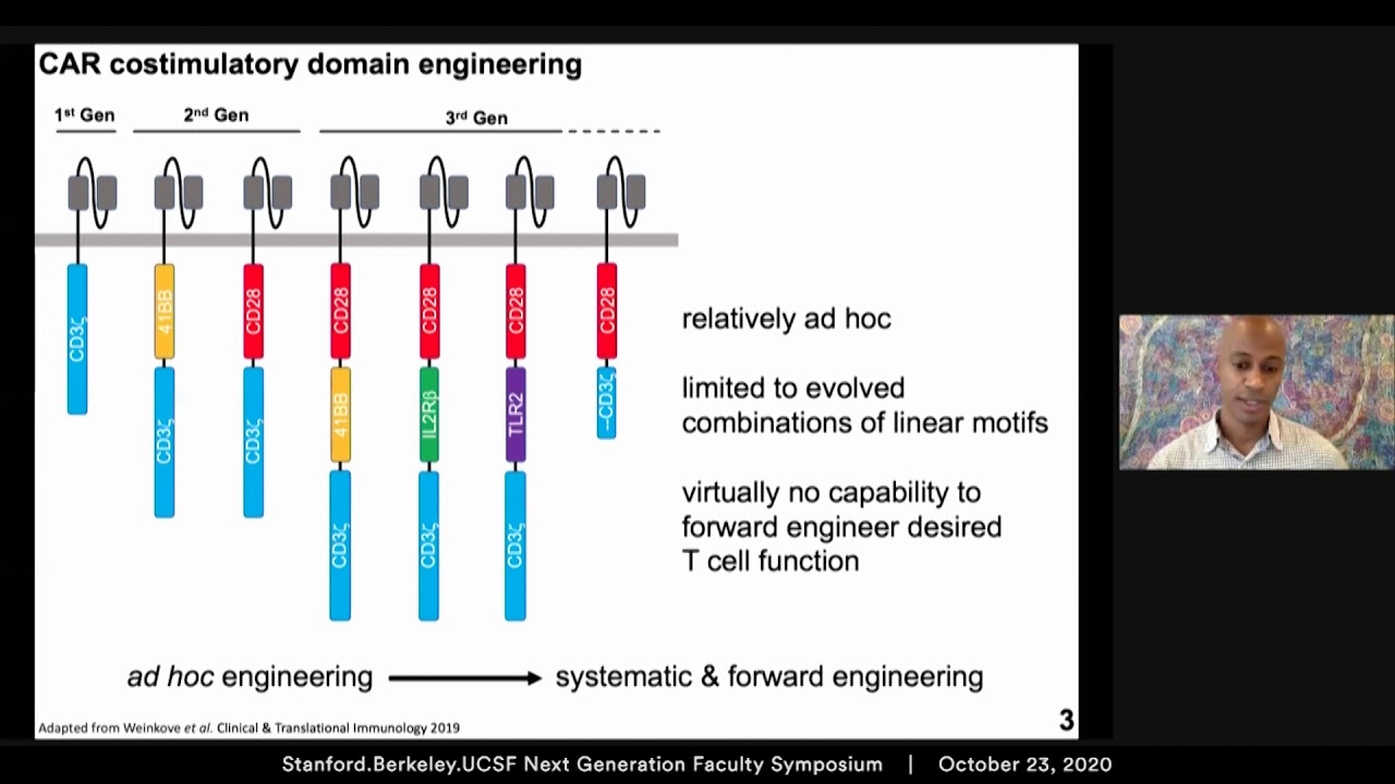 High-throughput screening of synthetic costimulatory domains to modulate CAR T cell function