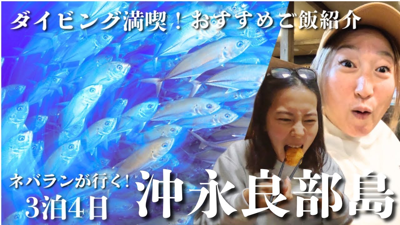 【沖永良部島】3泊4日満喫|社員旅行|ダイビング三昧&おすすめご飯紹介|前編