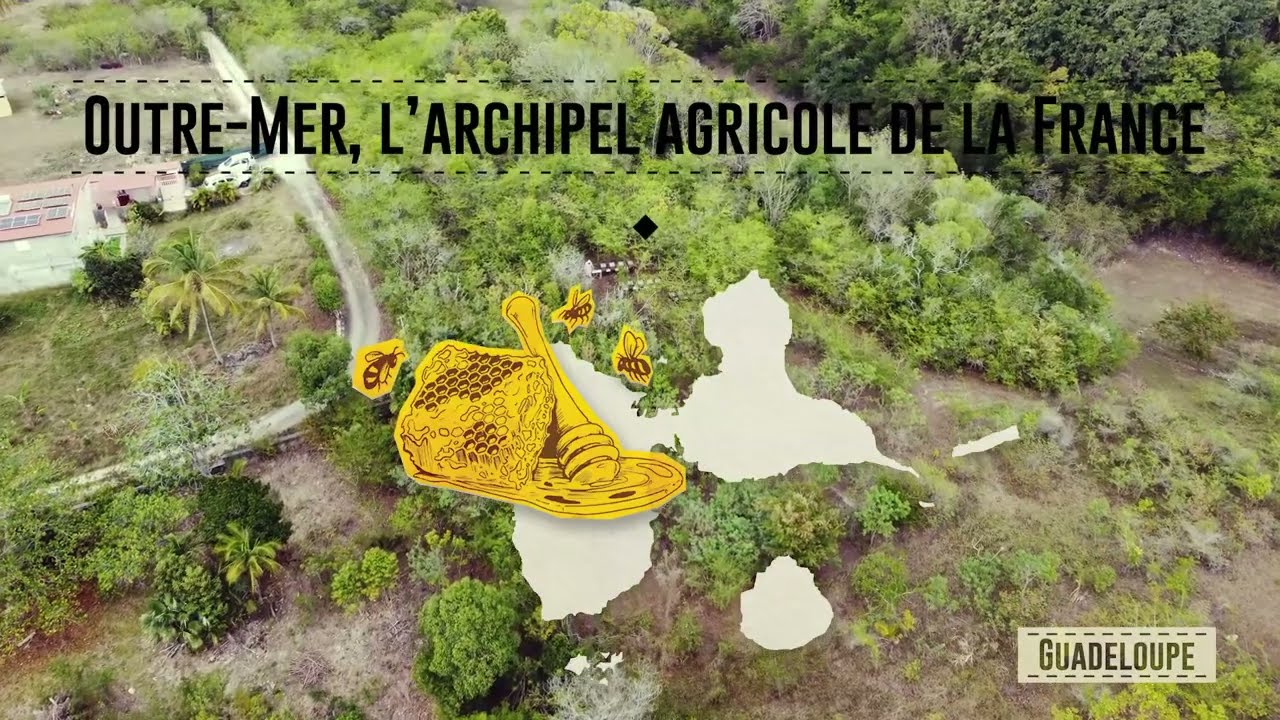SIA2022 : Rencontre avec David Landry, apiculteur en Guadeloupe