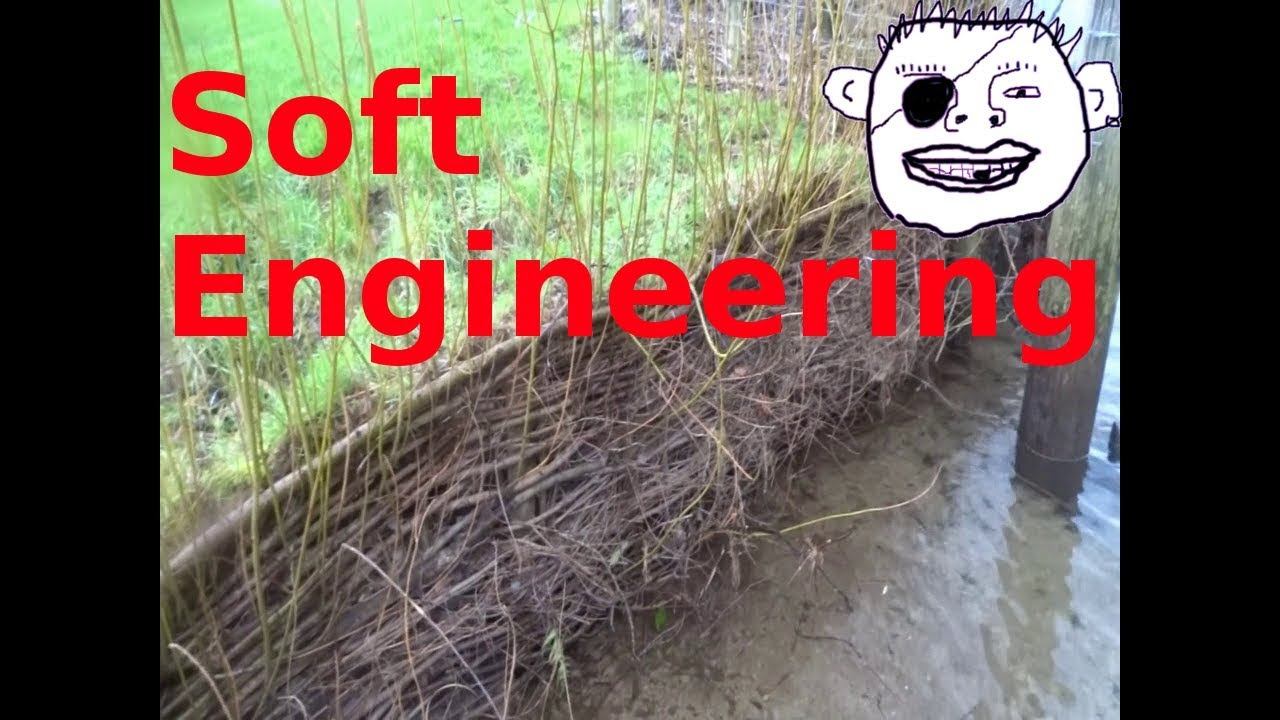 Soft engineering and erosion control Gappy style.