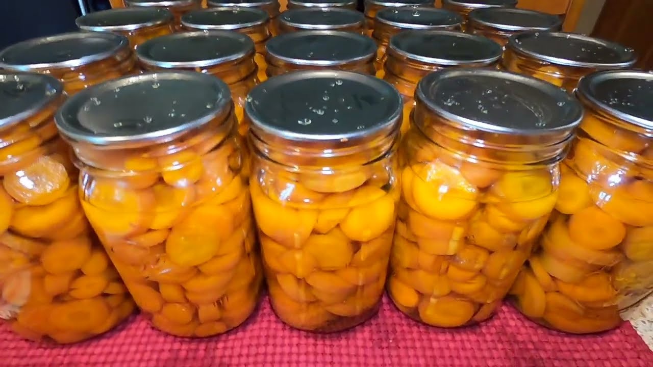 Canning Carrots | Raw Pack | GOOD BEGINNER CANNING PROJECT