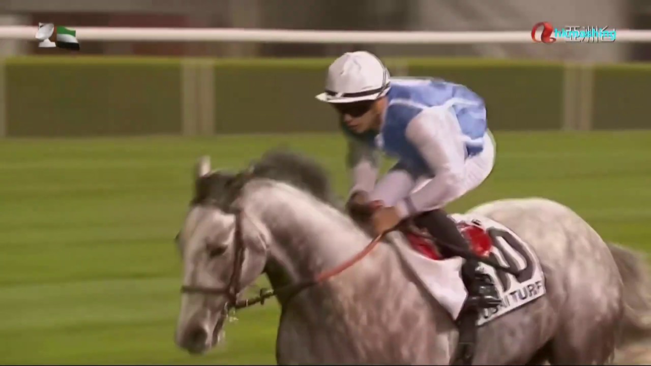 2015 Dubai Turf G1 - Solow (經濟學家) - M.Guyon