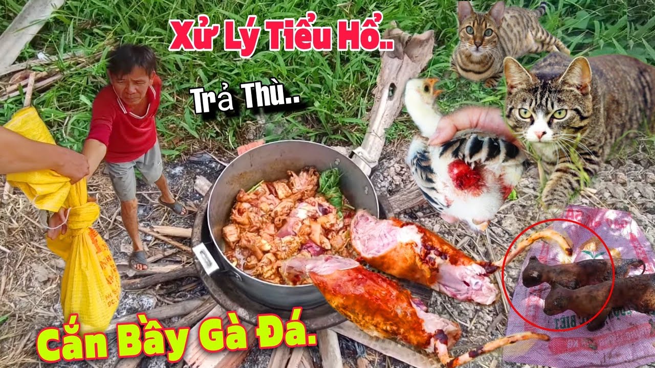 Xào Lăn Thơm Phức, Mần 2 Con Tiểu Hổ, Ăn Bầy G.à Đ.á Em Lộc. 