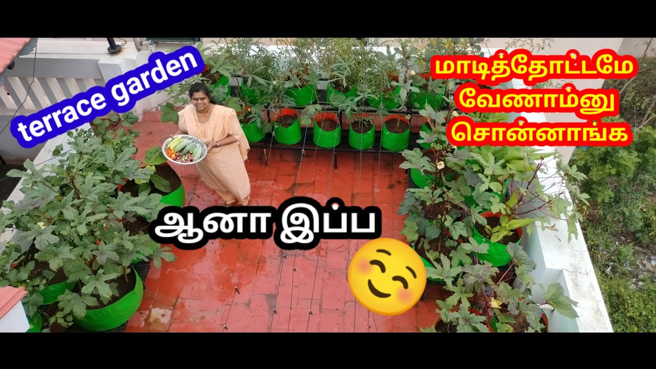 நான் அமைத்த முழுமையான மாடித்தோட்டம் 💯💪#gardening #maadithottam #மாடிதோட்டம் #garden