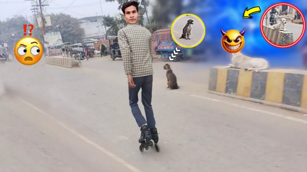 डॉग रोड पर मिले 🐕||स्केटिंग कुत्ता||😍🛼|itne dog skating shoes||