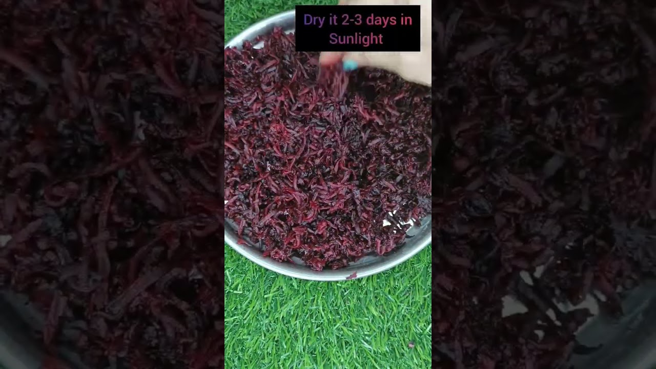 Home made beetroot powder | How to make beetroot powder at home |