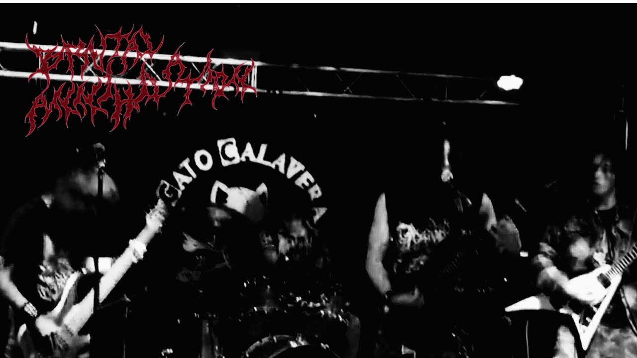 Gore Obsessed Whore - Brutal Annihilation (Live At Gato Calavera)