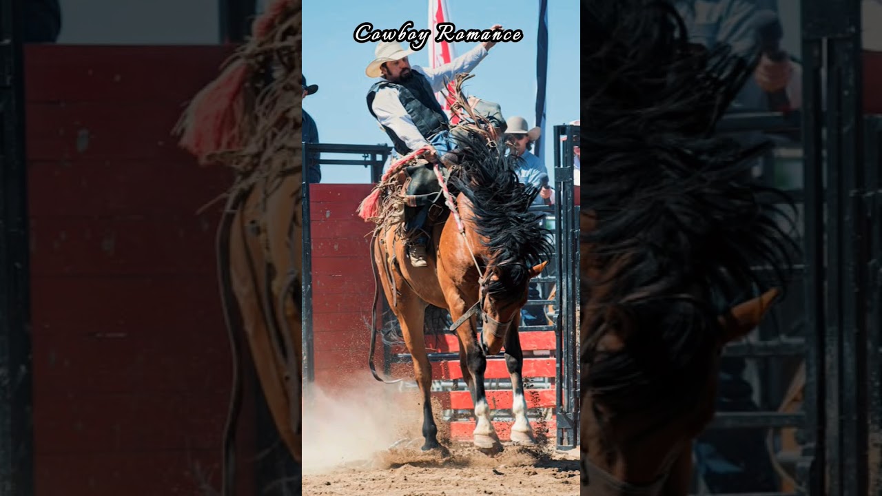 Spicy Cowboy Romance! Read Buck Me today. #booktok #romancebooks #cowboyromance