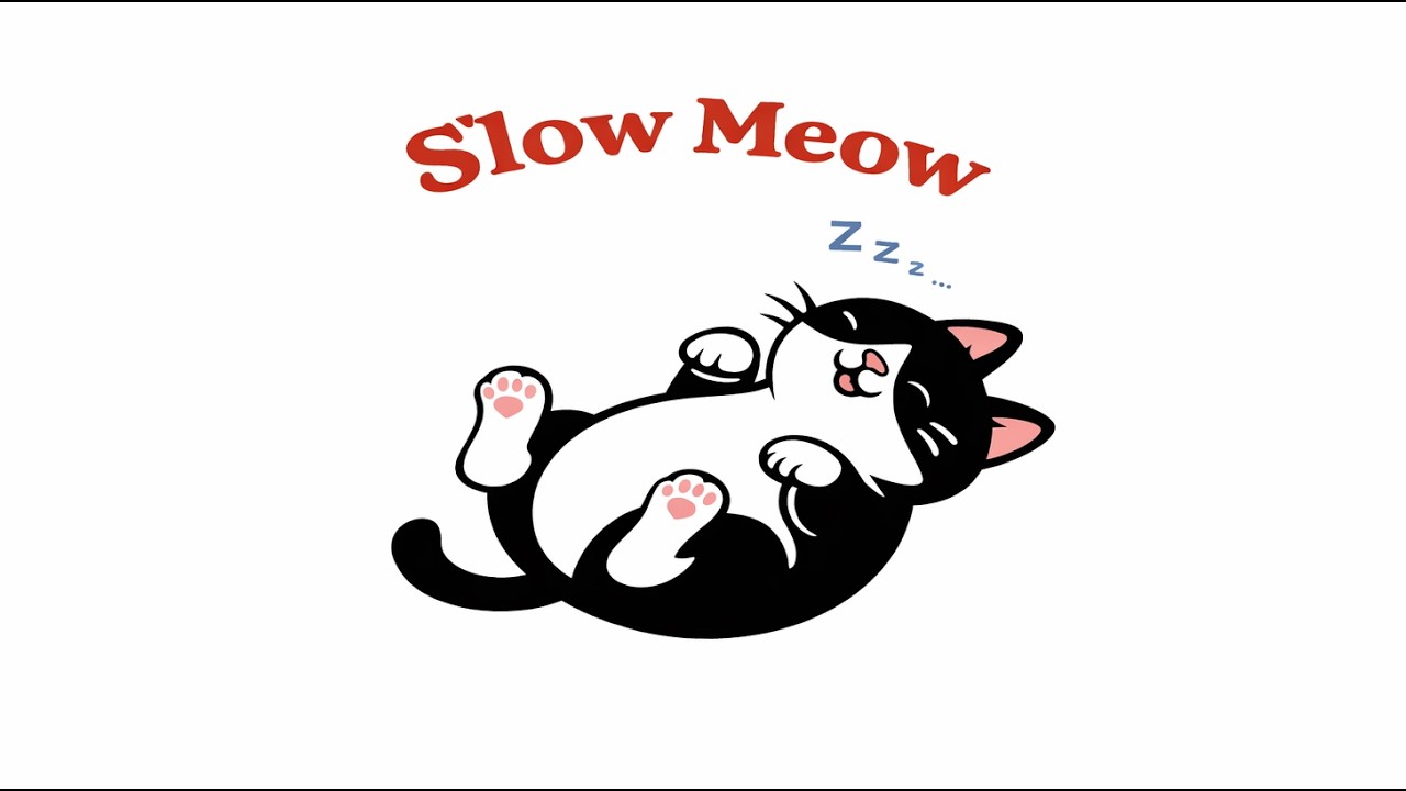 Zzz…