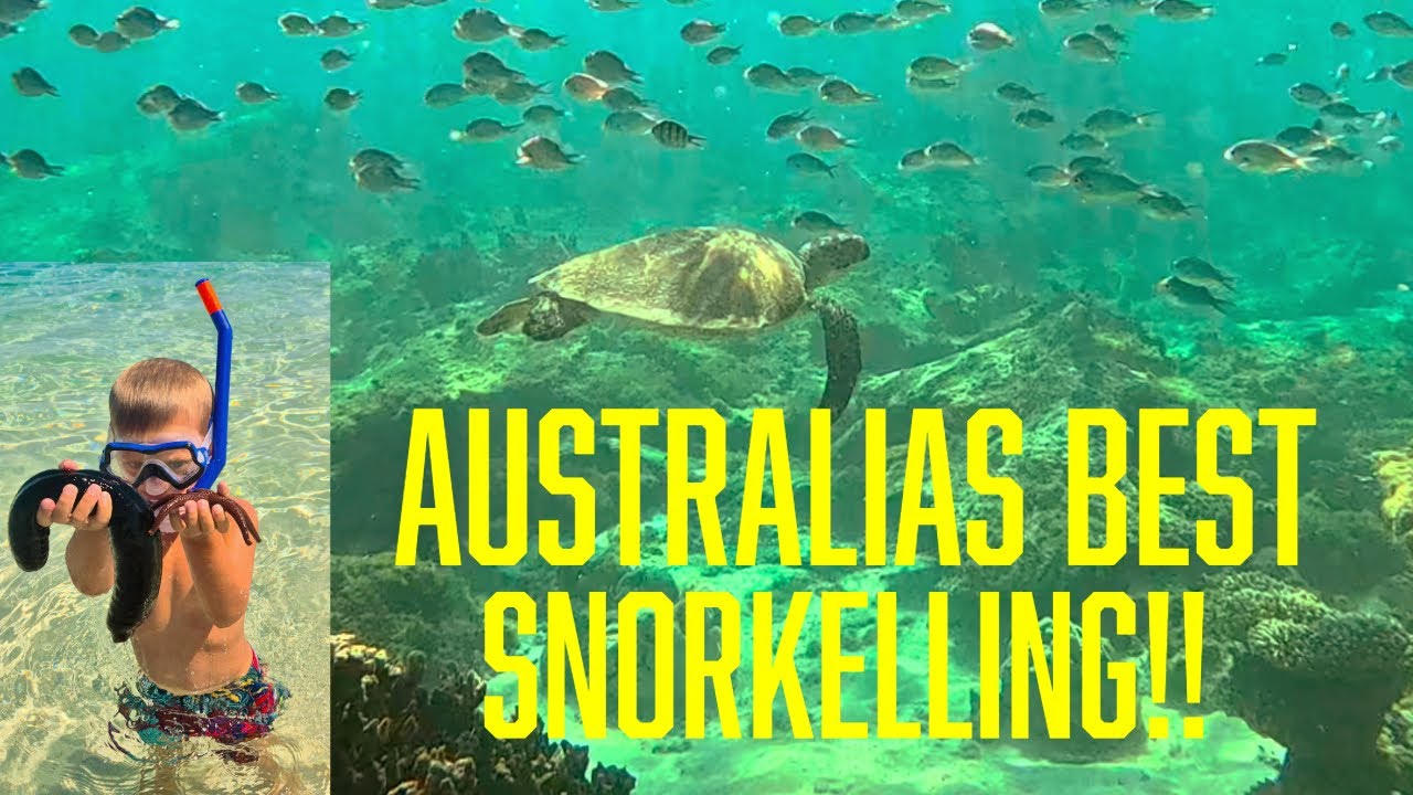 THE BEST SNORKELLING ON THE NINGALOO REEF!! STRAIGHT OFF THE BEACH