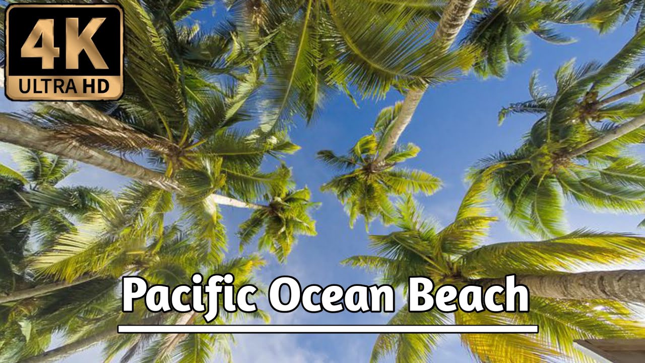 4K Beach Scene - Pacific Ocean Beach with Palm Trees By- No copy No claim