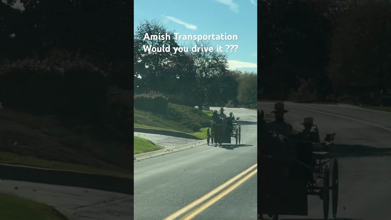 Amish Transportation #sightseeing #roadtrip #amish #horse #nature