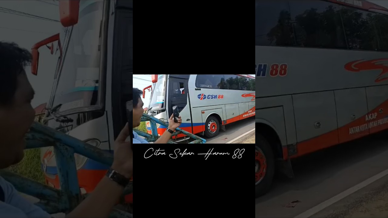 Bus CSH88 Penyu balap #csh88  #penyubalapbengkulu
