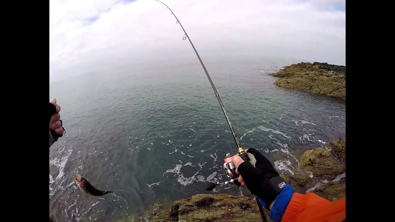 LRF LAZY POLLOCK PORTH YSGADEN