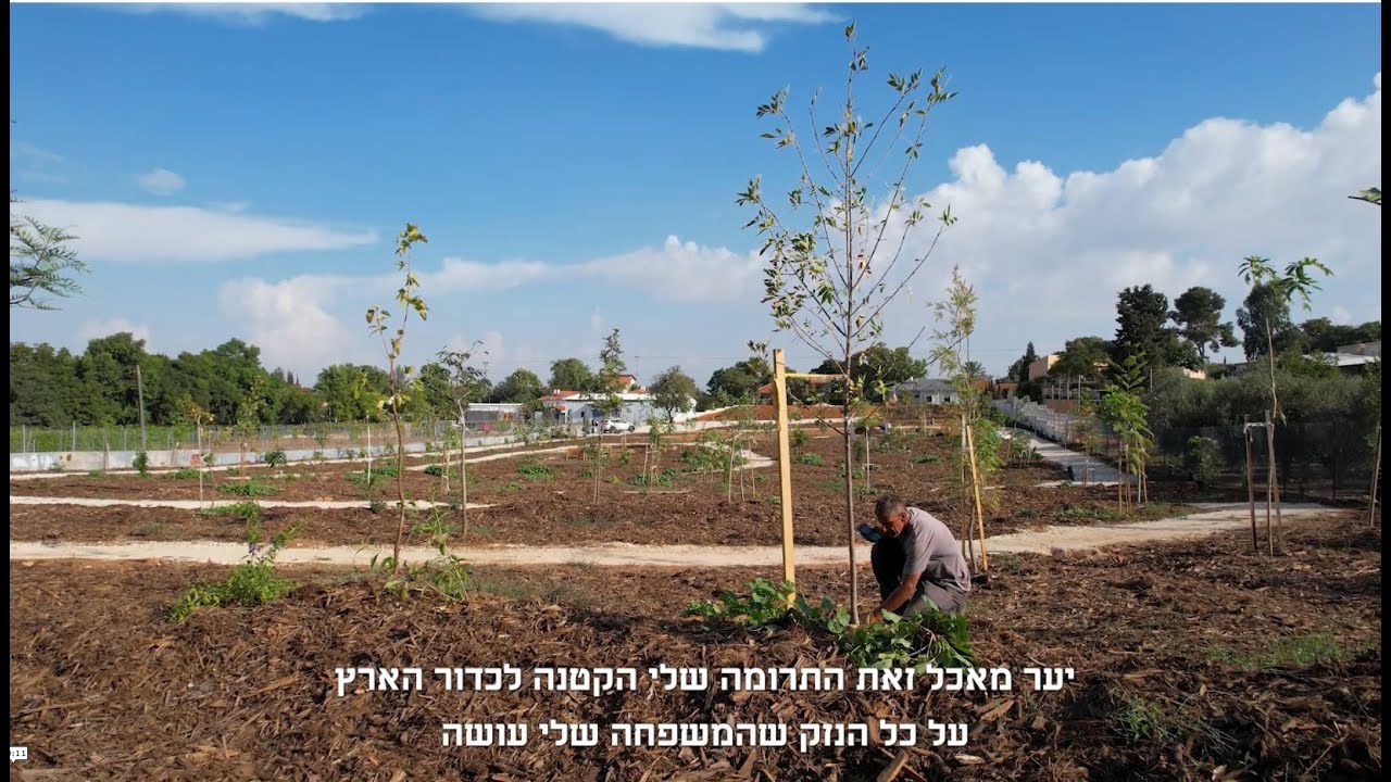 הקמת יער מאכל תיירותי בסתריה