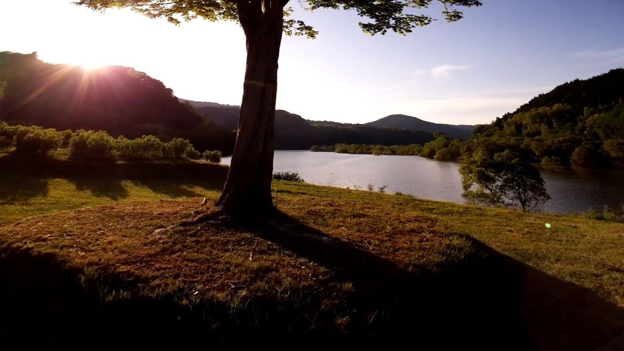 On the road to Lake Towada | Pure Nature
