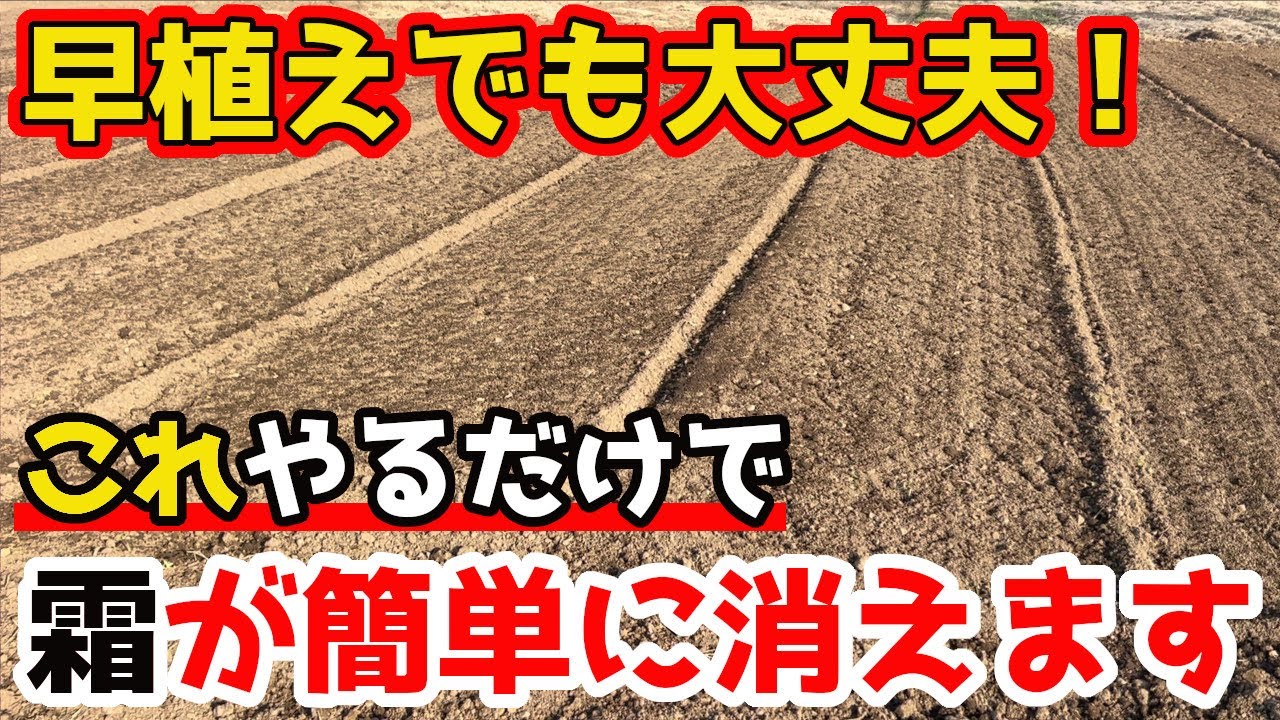 【じゃがいも】裏技！早植えしたい方におすすめな簡単な霜対策テクニック！【家庭菜園】