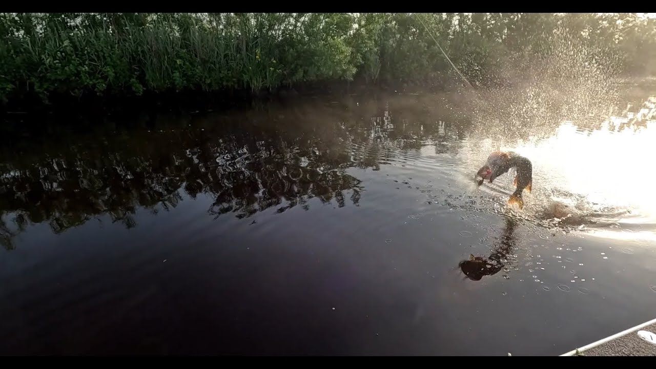 Werpen op snoek in de polder en uit de boot