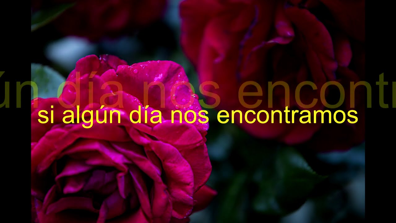 no comprendo nuestro adios   los caminantes