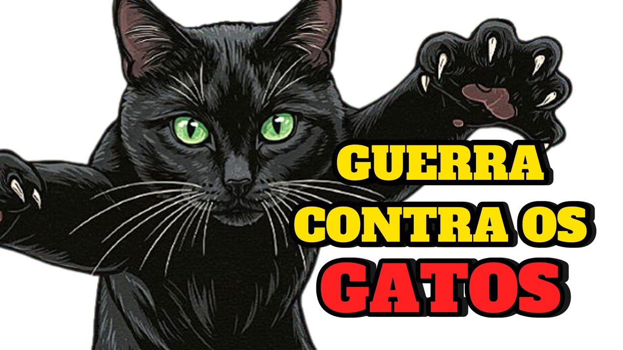 A Maldição dos Gatos Pretos: Superstição ou História Real?