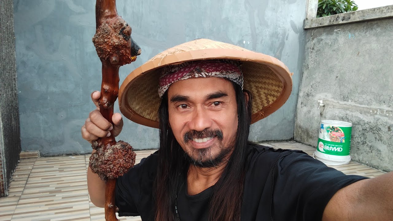 TONTONAN JADI TUNTUNAN  sedang live sekarang!
