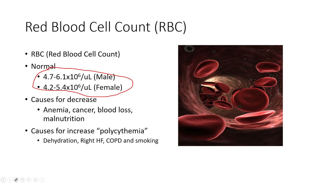 Acute Care Physical Therapy 5: Complete Blood Count (CBC)